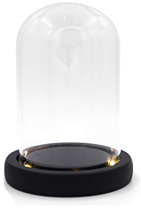 Nynelly Campana di Vetro con Base in Nero, Cloche a Cupola in Vetro Trasparente con Luce, Espositore a forma di campana, in vetro, con decorazione a cupola, 3.5 D X 4.7 H
