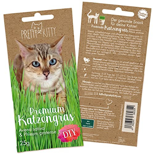 Katzengras Saatgut : 1 Beutel je 25g Katzengras Samen für 10 Töpfe fertiges Katzengras – Natürliche Katzen Leckerlies – Pflanzen Samen – Grassamen – Samen für Katzengras – Gras Katze – PRETTY KITTY