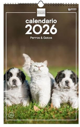 Finocam - Wall Calendar 2026 25x40 cm Month View January - December 2026 + Sep.- Dec. 2025 (4 months) reduced | Calendar 2026 | Pictures Dogs and cats - English