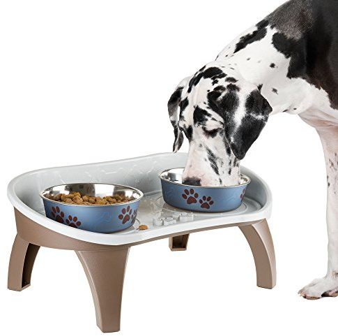 Elevated Pet Feeding Tray with Splash Guard & Non-Skid Feet, Raised Dog Bowl Stand 21″ x 11″ x 8.5″ with Two Stainless Steel Bowls for Food & Water, Comfortable Mealtime for Dogs & Cats by PETMAKER