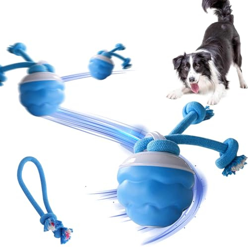 Giocattolo interattivo con palla per cani, palla intelligente che rotola per cani, giocattoli interattivi per cani di piccola taglia, The Chase Buddy, giocattoli per cani per tenerli occupati (Blue)
