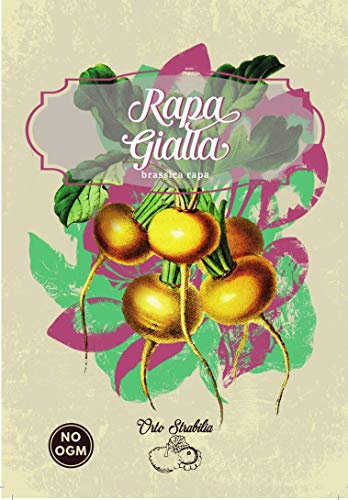 rapa gialla,brassica rapa,gr 2,semi rari,semi strani, orto strabilia