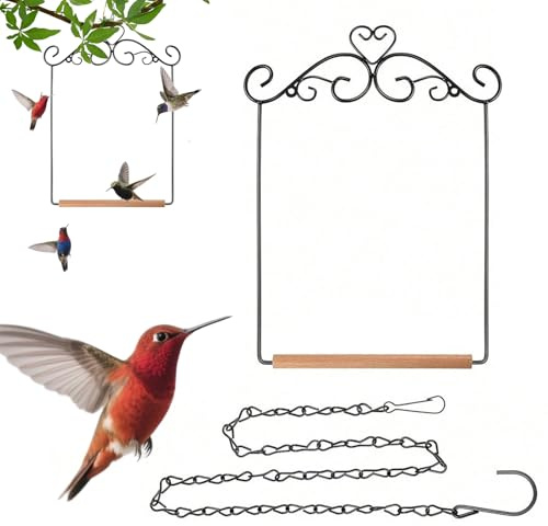 Hummingbird Swing | Pigeon Pombole Fish Hanging | PARTAKEET AND PAPERO PATTERE CHECK OF BOARDS, Large Compatible, Outdoor Indoor Garden, Training for
