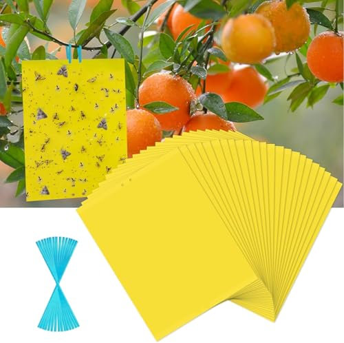 Pafnisoin 20 pezzi Trappole Appiccicose per Insetti Grande 25cm × 20cm Trappola per Mosche Dell'olivo Trappole per Chiocciole