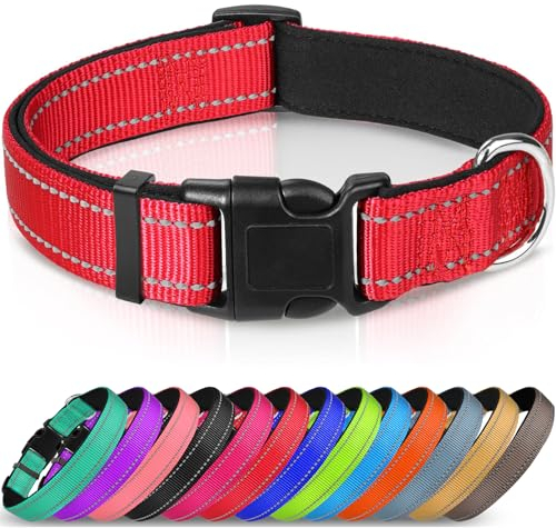 Joytale Halsband Hund, Gepolstertes Hundehalsband Breit aus Neopren Nylon Hundehalsband Verstellbar für Kleine Hunde, Weich und Reflektierend Hundehalsbänder, S, Rot