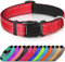 Joytale Halsband Hund, Gepolstertes Hundehalsband Breit aus Neopren Nylon Hundehalsband Verstellbar für Kleine Hunde, Weich und Reflektierend Hundehalsbänder, S, Rot