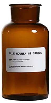 Vaso vuoto in vetro ambrato da 500 ml, per boccioli, farmacia, vintage, con design a corda, per composizioni floreali, casa, ufficio, matrimonio, decorazione per feste