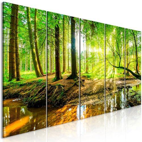B&D XXL Acrylglasbild Wald 150x60 cm 5 Teilig Wandbild auf Acryl Glasbilder Kunstdruck Moderne Acrylglas Platte Wanddekoration Geschenke Heimdekoration Glasbild - Landschaft Natur c-B-0241-k-m