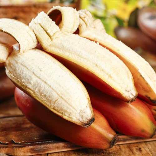 di banana semi di banana arbusti a crescita banane sostenibili per gli amanti del giardino da giardino resistenti in vaso siepi, arbusti, decorazioni 100pcs