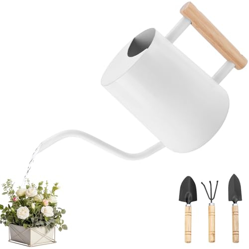 JOTOL Annaffiatoio 1L,Annaffiatoio Piccolo in Acciaio Inox con Beccuccio Lungo e Attrezzi da Giardinaggio,Annaffiatoio per Piante da Interno,Innaffiatoio per Casa,Piante,Bonsai All'aperto,Fiori