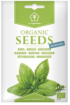 Basilic à larges feuilles, Graines certifiées biologiques prêt à Pousser Minigarden, 100% Naturelles sans Propagateurs Chimiques ni Génie Génétique, inclut entre 1750 et 2250 graines