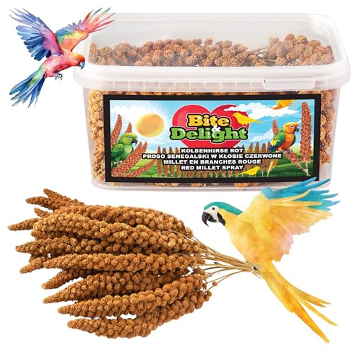 Bite & Delight Miglio Senegalese Rosso 3 kg Pure Grandi Orecchie per Pappagalli Mangime per uccelli ornamentali tutto l'anno