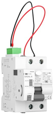 Interruptor Diferencial de Protección contra Pérdidas Tipo A 40A 100mA Auto Rearmable Superinmunizado con Función de Reinicio Automático, Interruptor AC220V, Dispositivo de Seguridad Inteligente
