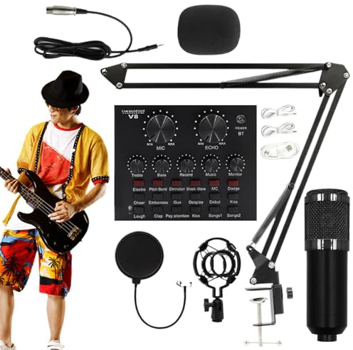 Kit Microfono Di Condensatore - Apparecchiatura Della Scheda Audiio In Streaming, Set Di Micrfono In Streaming Professionale, Microfono Di Registrazione Audio In Studio, Scheda Audio ABS Durevole