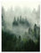 Poster Wald Nebel Natur 30x40 cm Hochformat - OHNE RAHMEN XXL Wandposter Kunstdruck Fotoposter Wandbild Wandbilder Wand Bild auf Poster Wohnzimmer Schlafzimmer Küche