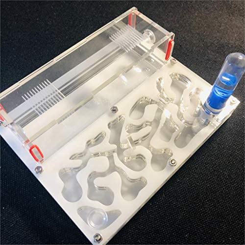 Formicarium Naturelle pour Ferme à Fourmis pour Tube à essai de Fourmis Live Humidité Grand Espace Nid de Fourmis en Acrylique, Fourmilière Insectes (White)