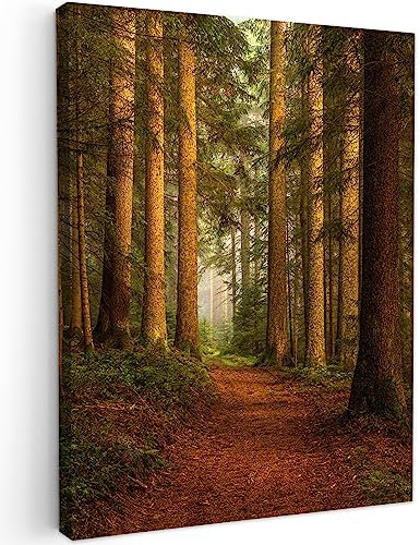 MuchoWow© Quadro su Tela 50x70 cm Stampe da Parete Quadri Camera da Letto Dipinto Arredamento Casa Foresta - Natura - Alberi - Paesaggio - Foglie