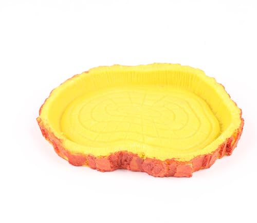 Natural Tree Trunk Reptile Water Dish | Realistic Bark Design Durable and Safe Resin Bowl for Terrariums, Amphibians and Small Pets | Maintain Perfect Habitat Accessory | Medium (11.5 x 8.5 x 1.5cm)