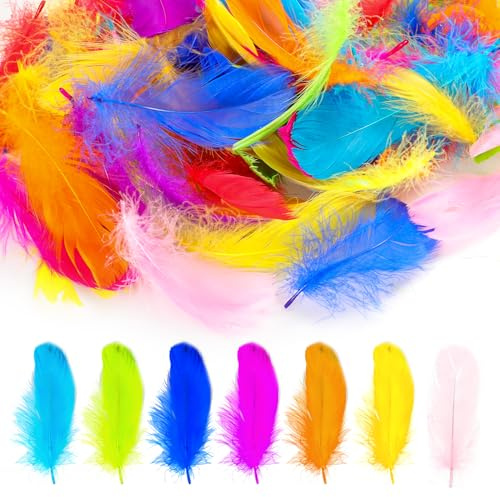 Feathers for Crafting Colorful White Black Blue Yellow Feather Bulk Craft Supplies Decorative Crafts for Dream Catcher, Gift Box Filling, Wedding, Party Decorations DIY Supplies 100 PCS