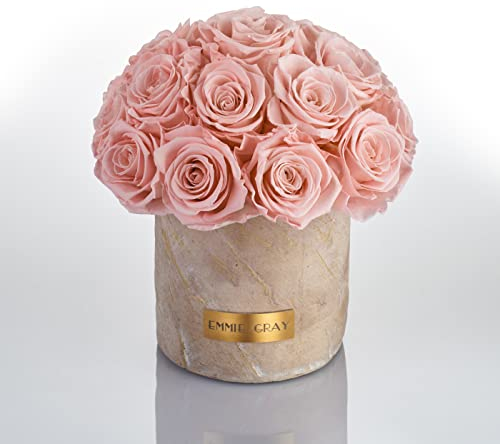 Solid Infinity Collection Golden Sand – Drömlika Infinity rosor, 1–3 års hållbara rosor, betongvas med äkta, konserverade rosor, ädla premiumrosor – storlek M (antique rosa)