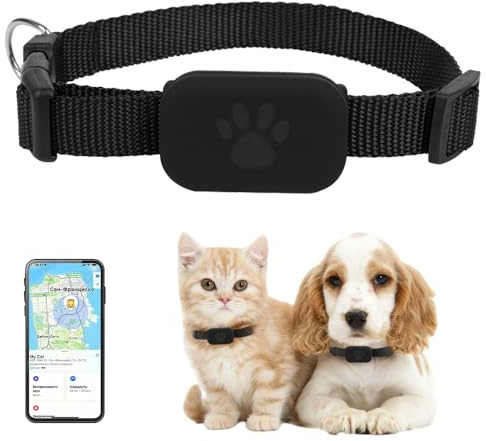 ZOYDP GPS Tracker Katze Ohne Abo (Nur Ios), Wasserdicht GPS Tracker Hund, 1Katzen trackers mit Verstellbarem Halsband, Katzenhalsband mit gps1, 1katzen gps racker Halsband für katzens und Kleiner Hund