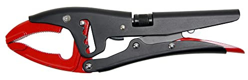 Bi-Office Aimants BioFusion - Biocomposites à base de noix de coco, 2 cm, paquet de 10