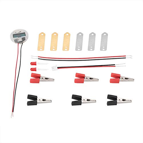 Kit di esperimenti scientifici con batteria di frutta con orologio digitale e lampadina per l'educazione del giocattolo educativo domestico fai da te per il progetto scientifico della scuola