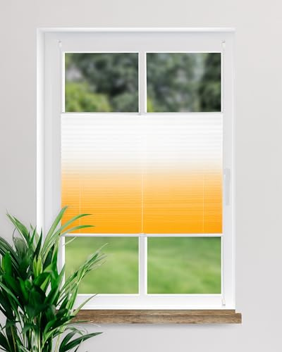 DECOLIA by Garesa Fenster Klemmfix Plissee ohne Bohren 65 x 130 cm Farbverlauf, Apricot - Lichtdurchlässiger Fenster Sichtschutz und Fenster Deko, Faltrollo