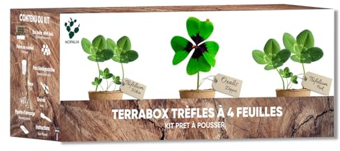 NOPALIA Set fyrklöver lyckobringare – ekologiska frön oxalis deppei, Trifolium vit & rosa – ovanlig present för kvinnor och män – gör-det-själv trädgård lycka och dekoration – original