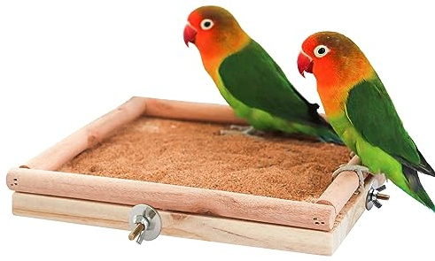 Piattaforma Appollaiatoio per Uccelli in Legno Naturale - Accessorio per Gabbie con Palo per Arrampicata e Pulizia Artigli - Ideale per Pappagalli, Pappagallini, Inseparabili, Ratti - 20 x 20 cm