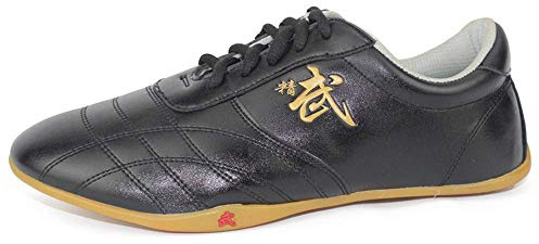 Martial Arts Shoes, Chinese Traditional Kung Fu Tai-Chi Sneakers Anti-Slip Unisex Adults Leather Qigong Taekwondo Trainers,Black,11