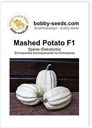 Mashed Potato F1 PMT Kürbissamen von Bobby-Seeds Portion