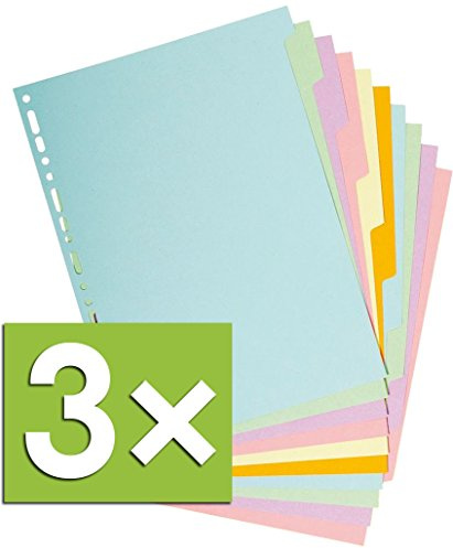 Registro Forever Recy.kart. f.a4 12 Tabs, 10 Tabs, pastello, 3