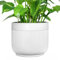 AmiCera Self Watering Ceramic Pots for Indoor Plants, Water Level Indicator with Drainage Hole, Self Watering Planters for Outdoor Use, Large Flower Pot for Easy Care (White)
