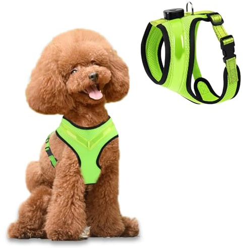 Fancysky Arnés para Perros Luminoso Recargable LED, Correas para Perros Transpirable Pequeños y Medianos (L)