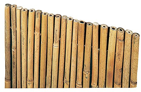 Arella Stuoia Cannucciata Frangisole in Bamboo con canne 14-25mm copertura da giardino | Frangivista | Dimensioni 150x300 cm