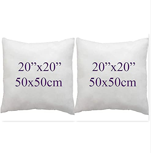 ARLINENS Pack of 2 Duck Feather & Down Cushion Pad Inner Insert -100% Natural Cotton Anti Dust Mite and Down Proof Cushion Pads Cover/Non Allergenic (20x20)