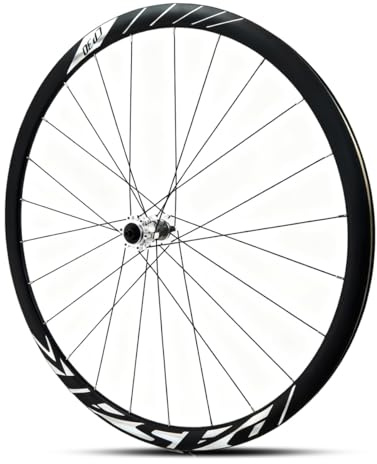 700C Ruote Anteriori E Posteriori Bici Da Strada Freno A Disco Sgancio Rapido 9X100 Mm/10X135 Mm Cross Ruote Da Bicicletta 24H Mozzo 8-12 Velocità Doppia Parete(Front,TITANIUM_MS)