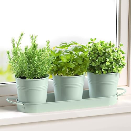 FGXY Set di 3 vasi in metallo con vassoio per erbe aromatiche, Mini Cactus Succulento Vaso,Crepa di Ghiaccio Fiori Piantatore,Per interni, davanzali e balconi,coltiva le tue erbe per la cucina-verde