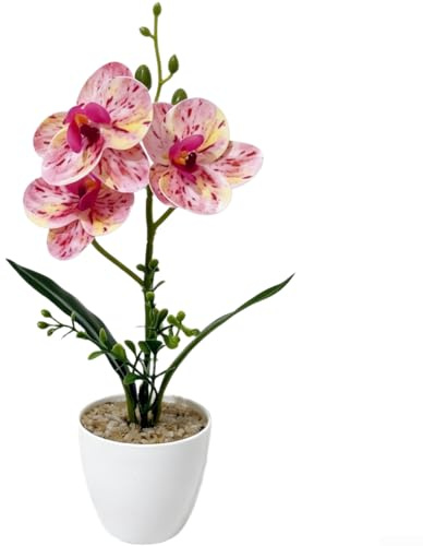 1 krukväxt Phalaenopsis orkidé konstgjord orkidé silke orkidé dekor PVC-material för inomhusdekoration (E)