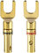 Poppstar 2X Kabelschuhe, Gabelstecker für elektrische Verbindung von Lautsprecherkabeln bis 4mm² Querschnitt, Stecker 24k vergoldet