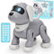 TEVO Robot Dog - Remote Control Dog Toy For Kids - Dancing, Singing, Smart Stunt Dog - Interactive Robotic Pet For Boys or Girls