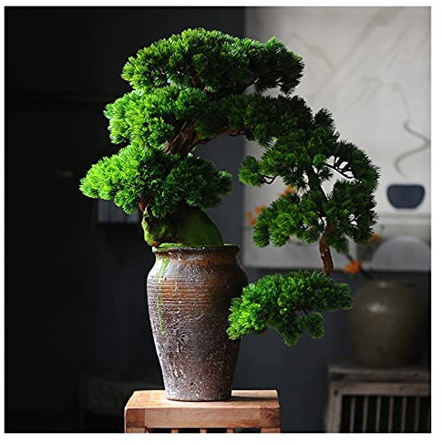 XXXXW Handmade Home Furnishings Simulation Welcoming Pine Bonsai Hotel Corridor Green Plants Porch Living Room Study Decoration Ornaments Handicraft Gifts Fake Plant (Color : C)
