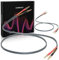 2 Pack 12AWG 4m High-End HIFI OFC Lautsprecherkabel mit Bananensteckern, 1 Paar Bi-Wire Cold Welding Oxygen Free Copper Speaker Wire Kabel mit 4mm vergoldeten Bananensteckern für Audio Home Theater
