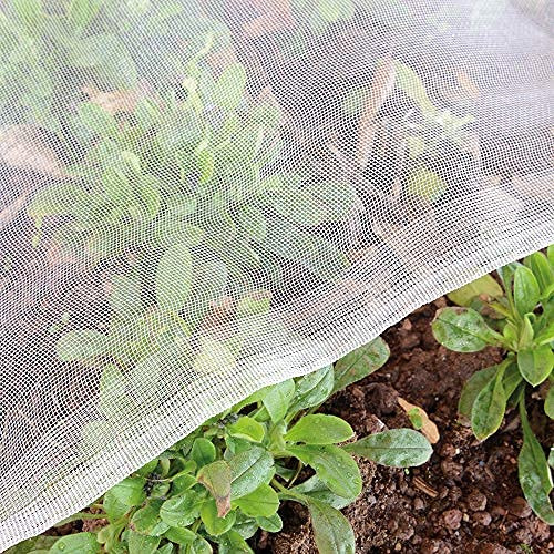 Gemüse Schutznetz Garten Insekten Netz: 3x5m Kulturschutznetz Feinmaschig Pflanzenschutznetz Tunnel for Schädlings Kirschfruchtfliege Kohlfliegen Weiß
