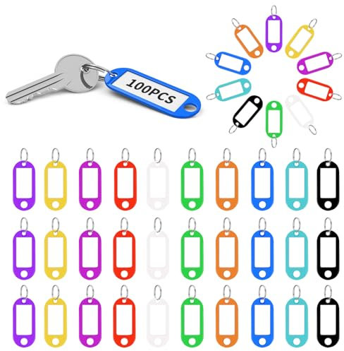 100 Stück Schlüsselanhänger, Schlüsselanhänger Beschriftbar, Etiketten Schlüsselbund, Schlüsselschilder mit Schlaufen, Schlüssel Beschriftung zum Schlüssel Koffern Haustieren Markieren (10 Farben)