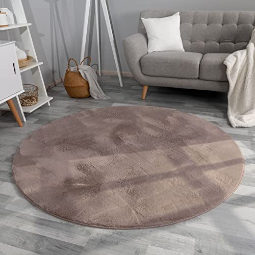 TT Home Wohnzimmer Teppich Hochflor Langflor Kunstfell Weich Modern Unifarben Flauschig, Farbe: Beige Taupe, Größe:80 cm Rund