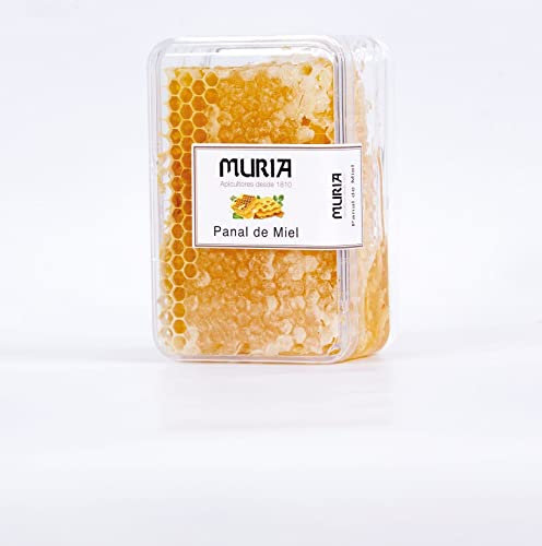 PANAL DE MIEL DE ROMERO 500gr.