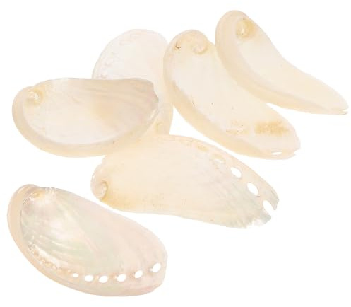 Artibetter 6 Coquilles D'ormeau Beige en Nacre Naturelle 6 Pièces 4-6 Cm Décor Côtier Style Plage pour Aquarium et Expositions Décoratives