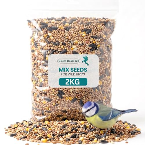 2KG Mix Seed for Wild Bird food, Clean Birds Seed for Small Wildlife | Premium Garden Feed Natural Birdseed for Sparrows Finches Small Wildlife Clean Feeding Nutrition Quality Seed Blend Pack
